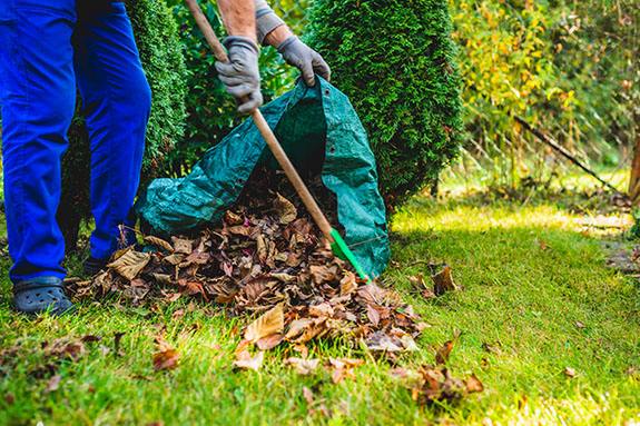 Garden Cleanups – JGS Group Australia